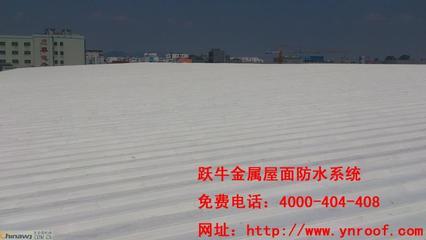 漳州工厂厂房钢结构金属屋面防水补漏维修工程供应承接